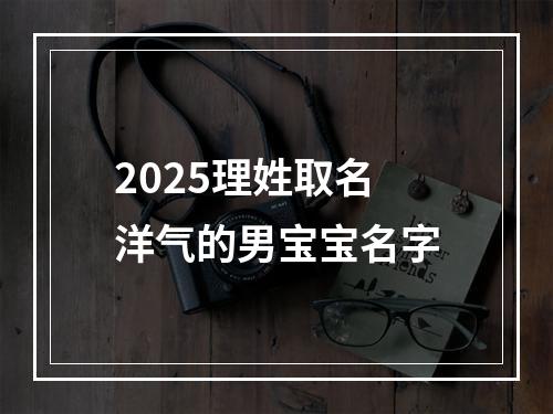 2025理姓取名洋气的男宝宝名字
