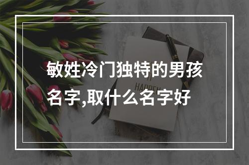 敏姓冷门独特的男孩名字,取什么名字好