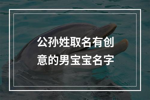 公孙姓取名有创意的男宝宝名字