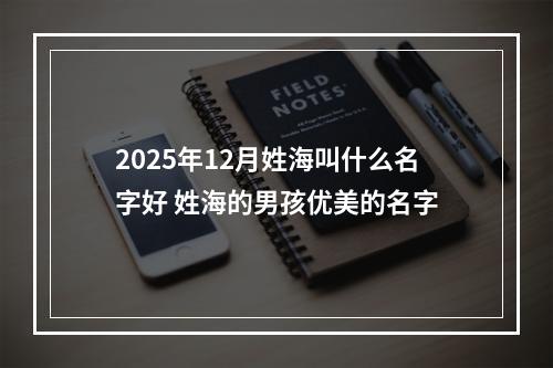 2025年12月姓海叫什么名字好 姓海的男孩优美的名字