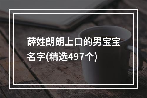 薛姓朗朗上口的男宝宝名字(精选497个)