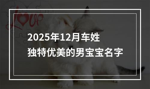 2025年12月车姓独特优美的男宝宝名字