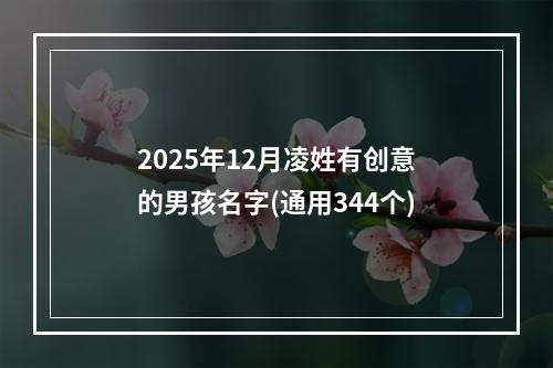 2025年12月凌姓有创意的男孩名字(通用344个)