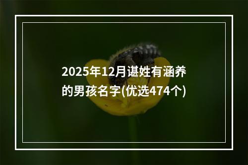 2025年12月谌姓有涵养的男孩名字(优选474个)