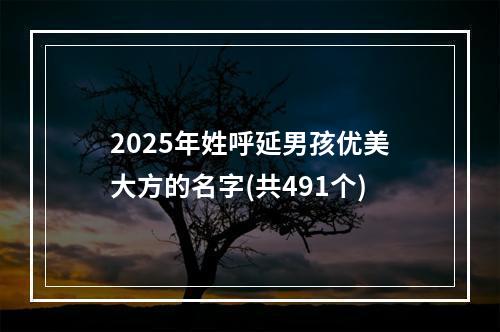 2025年姓呼延男孩优美大方的名字(共491个)