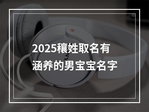 2025穰姓取名有涵养的男宝宝名字