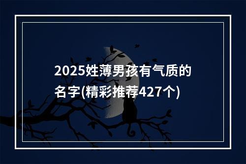 2025姓薄男孩有气质的名字(精彩推荐427个)