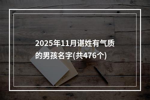 2025年11月谌姓有气质的男孩名字(共476个)