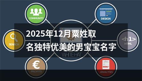 2025年12月粟姓取名独特优美的男宝宝名字