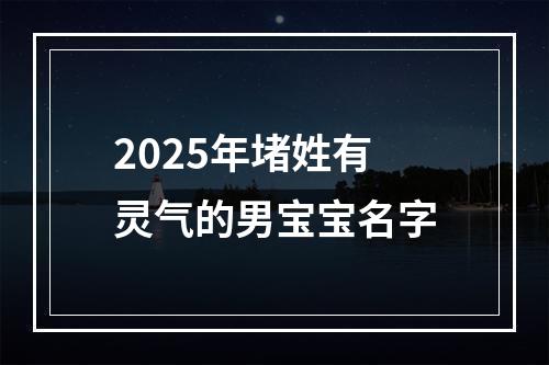 2025年堵姓有灵气的男宝宝名字