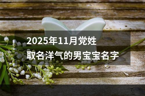 2025年11月党姓取名洋气的男宝宝名字
