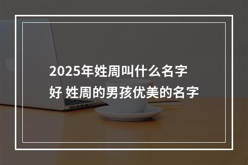 2025年姓周叫什么名字好 姓周的男孩优美的名字