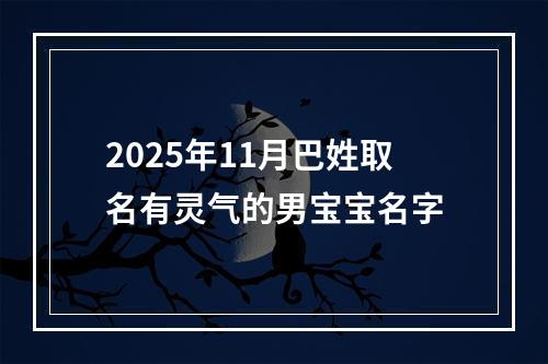 2025年11月巴姓取名有灵气的男宝宝名字