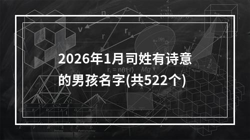 2026年1月司姓有诗意的男孩名字(共522个)