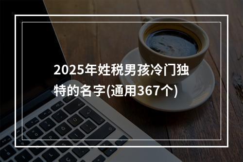 2025年姓税男孩冷门独特的名字(通用367个)