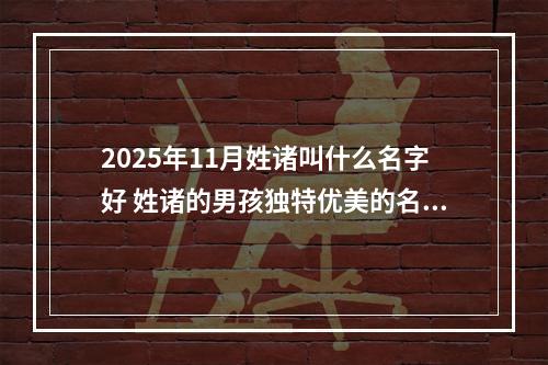 2025年11月姓诸叫什么名字好 姓诸的男孩独特优美的名字
