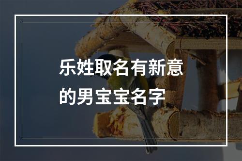 乐姓取名有新意的男宝宝名字