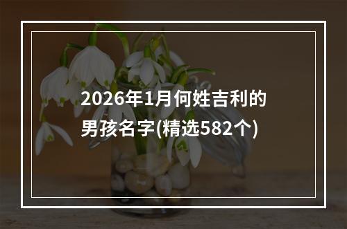 2026年1月何姓吉利的男孩名字(精选582个)