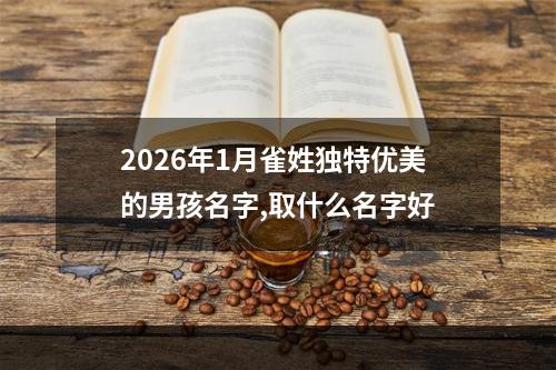 2026年1月雀姓独特优美的男孩名字,取什么名字好