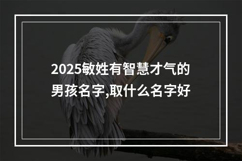 2025敏姓有智慧才气的男孩名字,取什么名字好