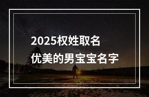 2025权姓取名优美的男宝宝名字