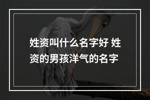 姓资叫什么名字好 姓资的男孩洋气的名字