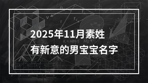 2025年11月素姓有新意的男宝宝名字