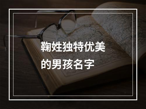 鞠姓独特优美的男孩名字
