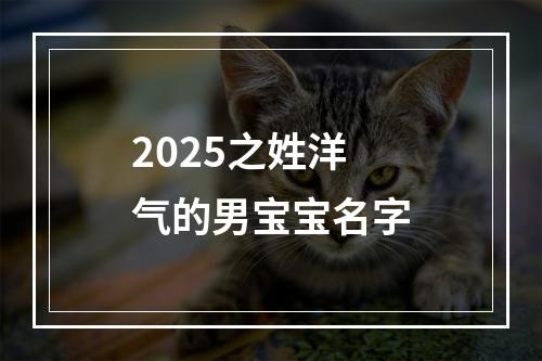 2025之姓洋气的男宝宝名字