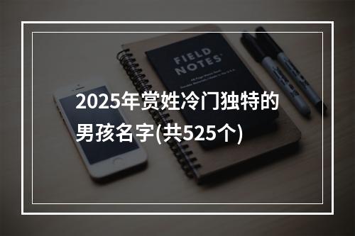 2025年赏姓冷门独特的男孩名字(共525个)