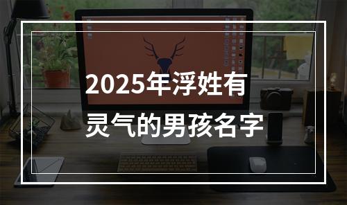 2025年浮姓有灵气的男孩名字