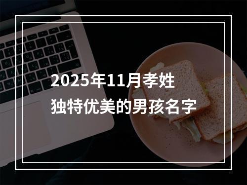 2025年11月孝姓独特优美的男孩名字