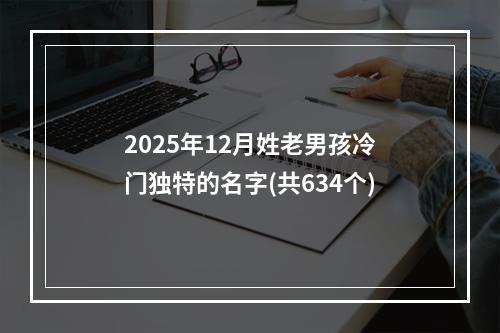 2025年12月姓老男孩冷门独特的名字(共634个)