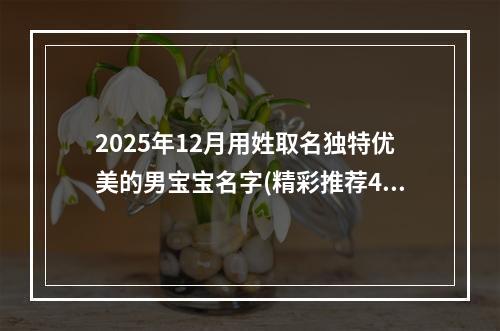 2025年12月用姓取名独特优美的男宝宝名字(精彩推荐433个)