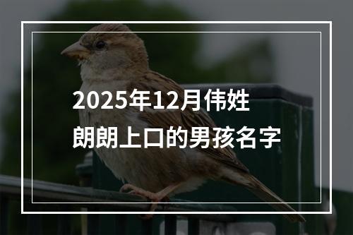 2025年12月伟姓朗朗上口的男孩名字