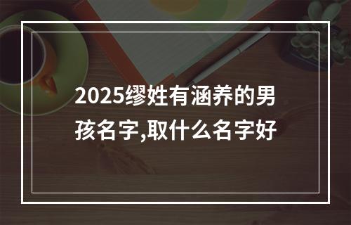2025缪姓有涵养的男孩名字,取什么名字好