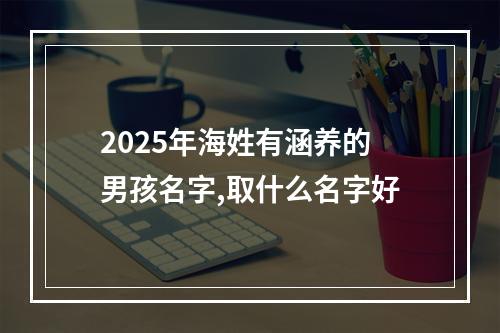 2025年海姓有涵养的男孩名字,取什么名字好
