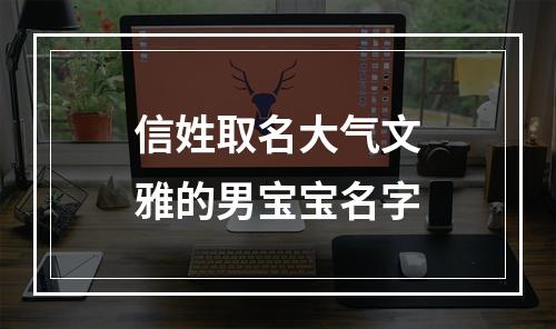信姓取名大气文雅的男宝宝名字