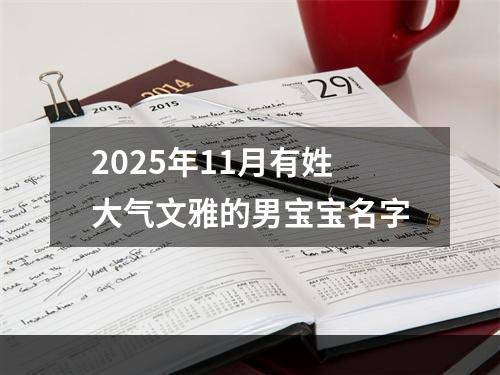 2025年11月有姓大气文雅的男宝宝名字