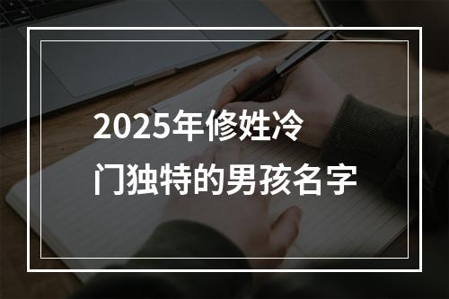2025年修姓冷门独特的男孩名字
