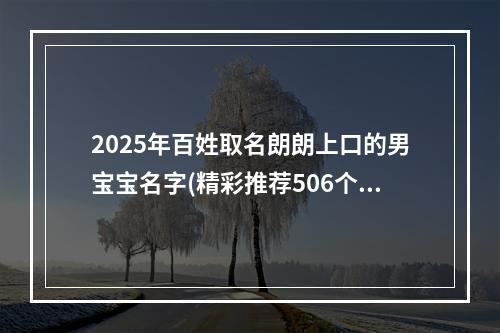 2025年百姓取名朗朗上口的男宝宝名字(精彩推荐506个)