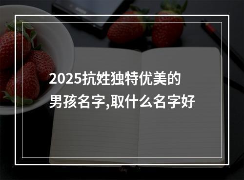 2025抗姓独特优美的男孩名字,取什么名字好