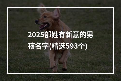 2025部姓有新意的男孩名字(精选593个)