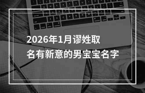 2026年1月谬姓取名有新意的男宝宝名字