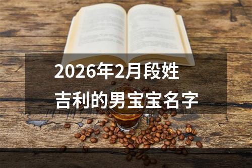 2026年2月段姓吉利的男宝宝名字
