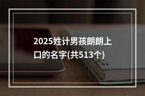 2025姓计男孩朗朗上口的名字(共513个)