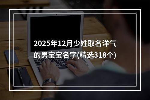 2025年12月少姓取名洋气的男宝宝名字(精选318个)