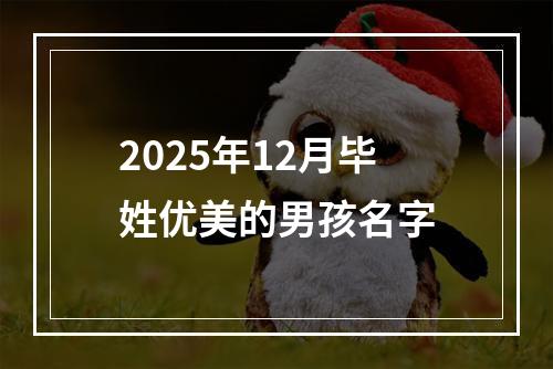 2025年12月毕姓优美的男孩名字