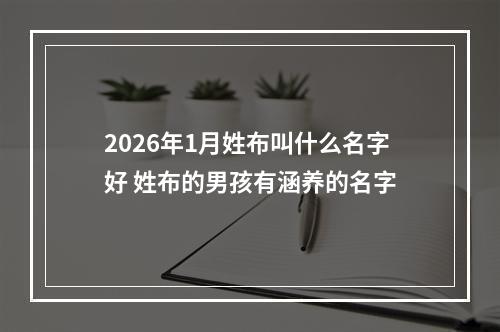 2026年1月姓布叫什么名字好 姓布的男孩有涵养的名字