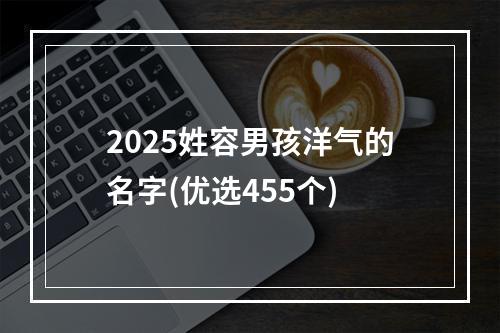 2025姓容男孩洋气的名字(优选455个)